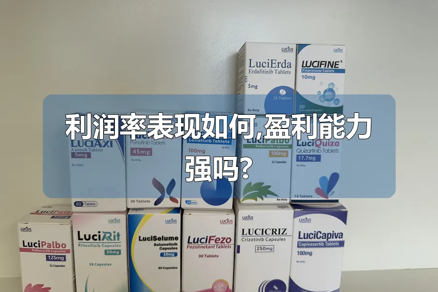 利润率表现如何,盈利能力强吗?